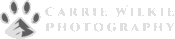 Inverted colors logo