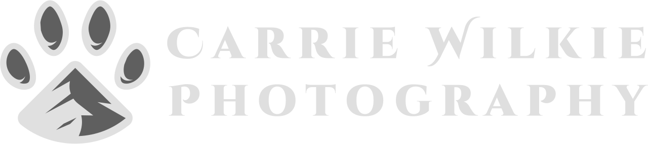 Inverted colors logo